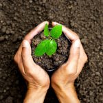 Responsabilidad social