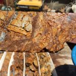 WhatsApp Image 2023-10-05 at 12.32.29 PM (1)