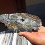 WhatsApp Image 2023-10-05 at 12.32.29 PM